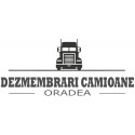 7422477207 Arc axa spate stanga Renault Premium